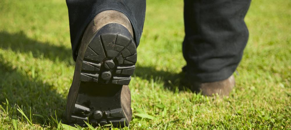 Lawn care technician from Coastal Turf walking on a lawn.