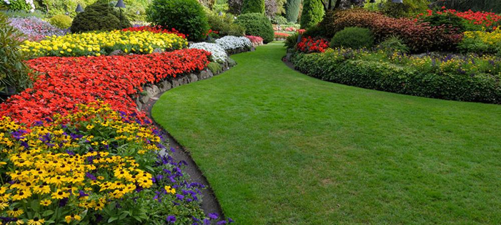 Green grass with flower beds