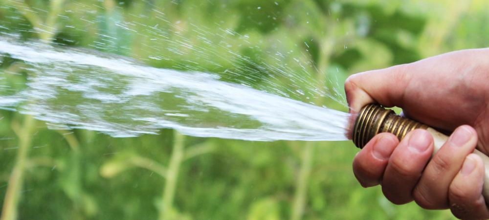 Someone watering the grass, close up on the hand